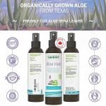 Aloe Vera Plant Hair Care: Ultimate Guide for Healthy, Shiny Hair