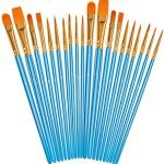 Best Acrylic Paint Brush Sets for Professional and Beginner Artists