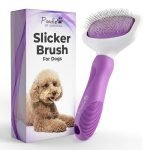 Best Brush for Poodles: Top Slicker and Dematting Grooming Tools