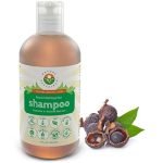 Best Organic And Natural Shampoo for Healthy, Nourished, and Sensitive Hair