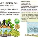Grapeseed Oil Skin Care Benefits: Unlock Radiant, Youthful Glow