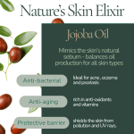 Jojoba Oil Benefits for Skin: Unlock Radiant, Hydrated Glow Today