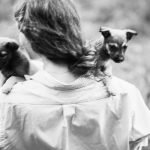 Rose Hair Tarantula Care: Essential Tips for Happy Pets